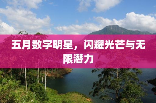 五月数字明星，闪耀光芒与无限潜力