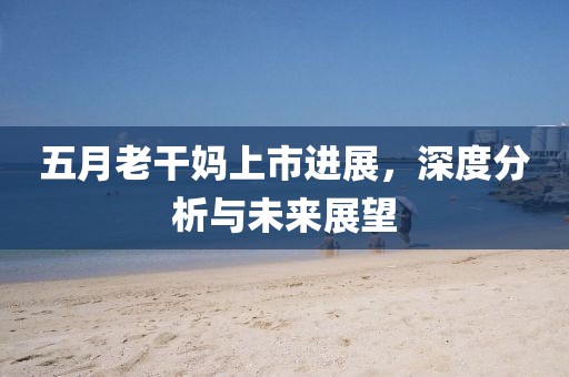 五月老干妈上市进展，深度分析与未来展望