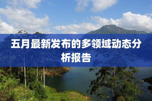 五月最新发布的多领域动态分析报告