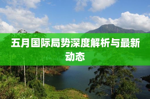 五月国际局势深度解析与最新动态