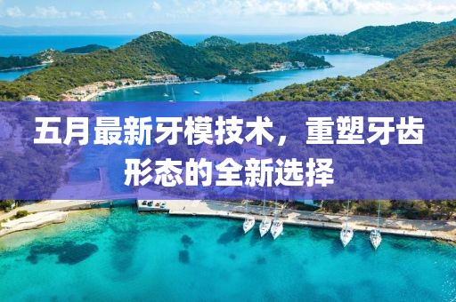 五月最新牙模技术，重塑牙齿形态的全新选择