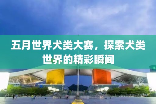 五月世界犬类大赛，探索犬类世界的精彩瞬间