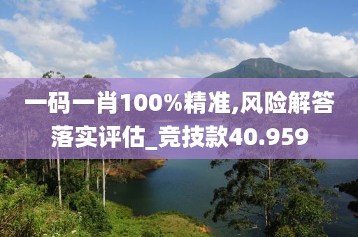 一码一肖100%精准,风险解答落实评估_竞技款40.959