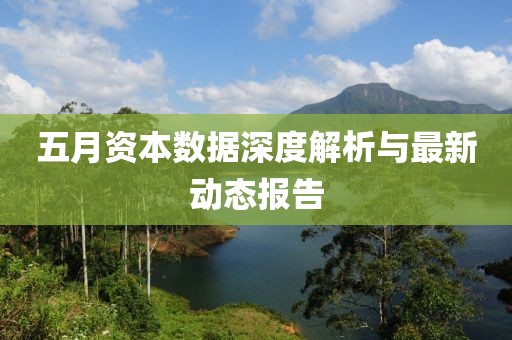 五月资本数据深度解析与最新动态报告