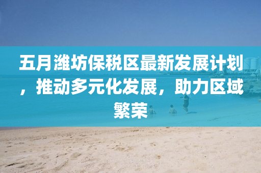 五月潍坊保税区最新发展计划，推动多元化发展，助力区域繁荣