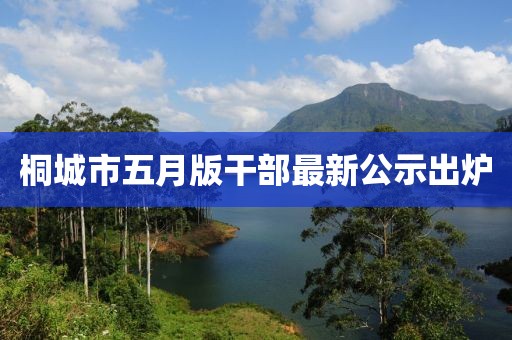 桐城市五月版干部最新公示出炉