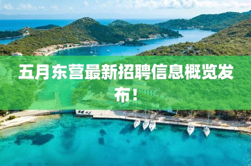五月东营最新招聘信息概览发布！
