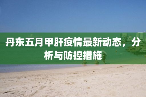 丹东五月甲肝疫情最新动态，分析与防控措施