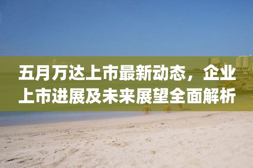 五月万达上市最新动态，企业上市进展及未来展望全面解析