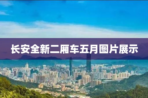 长安全新二厢车五月图片展示