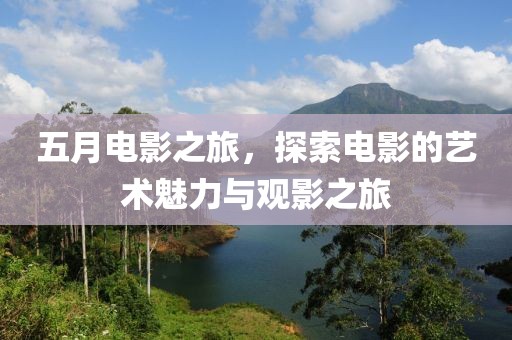 五月电影之旅，探索电影的艺术魅力与观影之旅