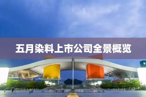 五月染料上市公司全景概览