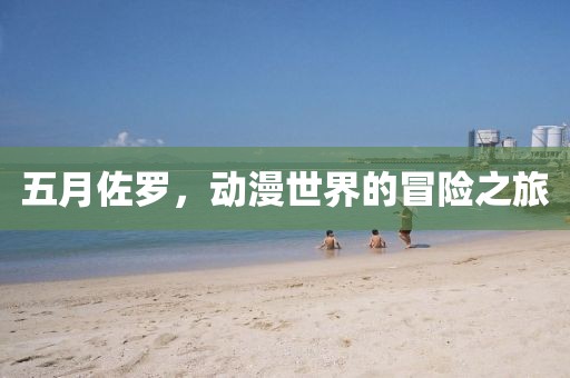 五月佐罗，动漫世界的冒险之旅