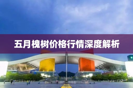 五月槐树价格行情深度解析