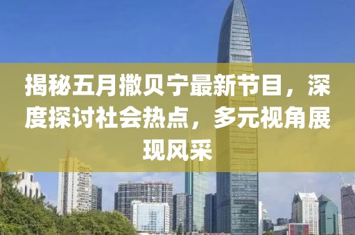 揭秘五月撒贝宁最新节目，深度探讨社会热点，多元视角展现风采