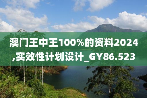 澳门王中王100%的资料2024,实效性计划设计_GY86.523