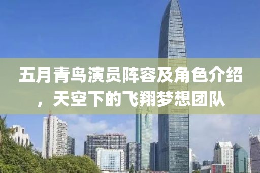 五月青鸟演员阵容及角色介绍，天空下的飞翔梦想团队