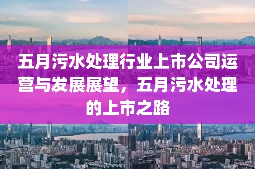 五月污水处理行业上市公司运营与发展展望，五月污水处理的上市之路