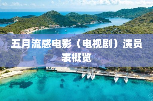 五月流感电影（电视剧）演员表概览
