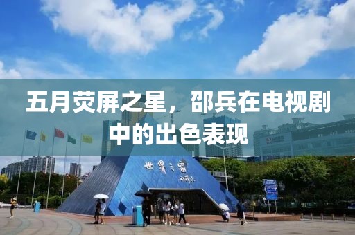 五月荧屏之星，邵兵在电视剧中的出色表现