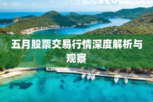 五月股票交易行情深度解析与观察