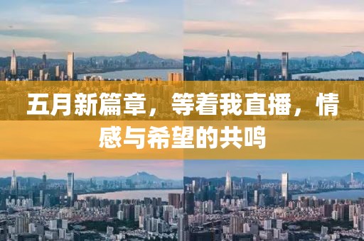 五月新篇章，等着我直播，情感与希望的共鸣