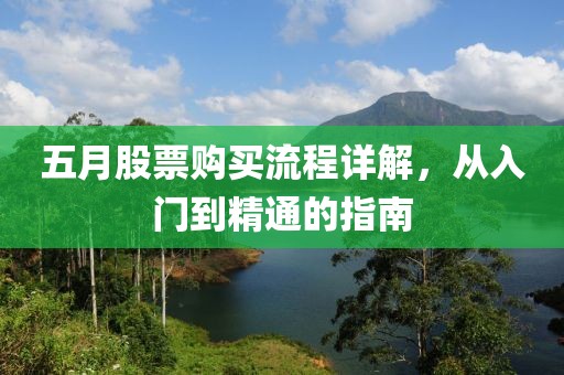 五月股票购买流程详解，从入门到精通的指南