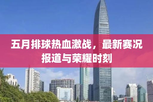 五月排球热血激战，最新赛况报道与荣耀时刻