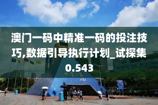 澳门一码中精准一码的投注技巧,数据引导执行计划_试探集0.543