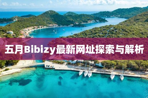 五月Bibizy最新网址探索与解析