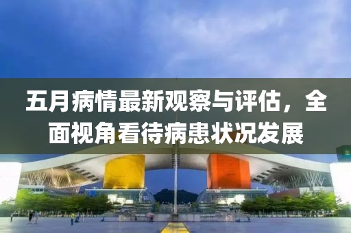 五月病情最新观察与评估，全面视角看待病患状况发展