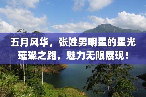 五月风华，张姓男明星的星光璀璨之路，魅力无限展现！