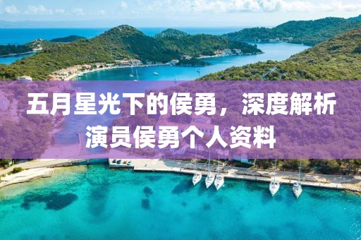 五月星光下的侯勇，深度解析演员侯勇个人资料