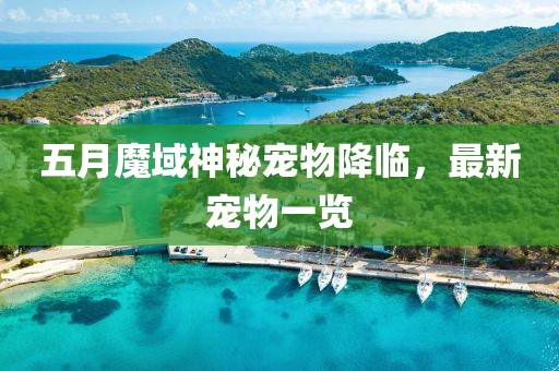 五月魔域神秘宠物降临，最新宠物一览