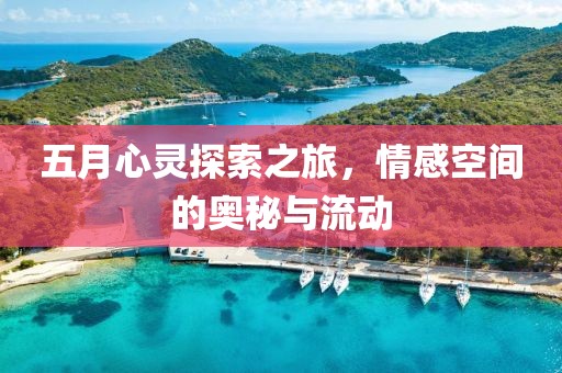 五月心灵探索之旅，情感空间的奥秘与流动