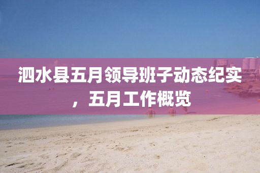 泗水县五月领导班子动态纪实，五月工作概览