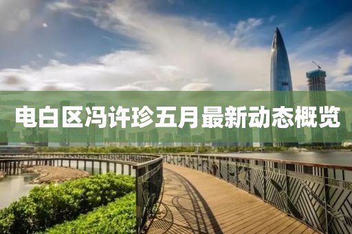 电白区冯许珍五月最新动态概览
