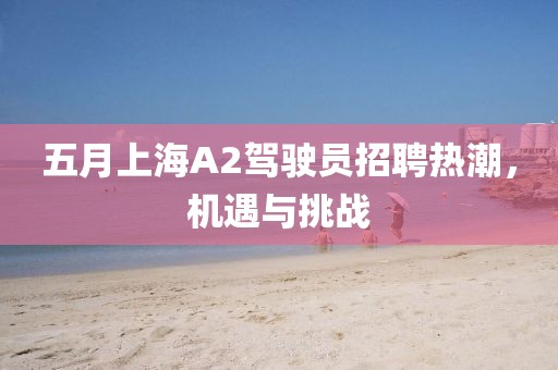 五月上海A2驾驶员招聘热潮，机遇与挑战