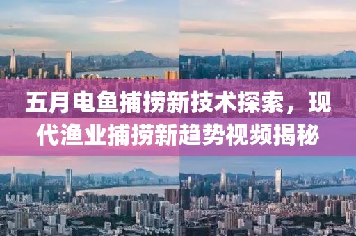 五月电鱼捕捞新技术探索，现代渔业捕捞新趋势视频揭秘