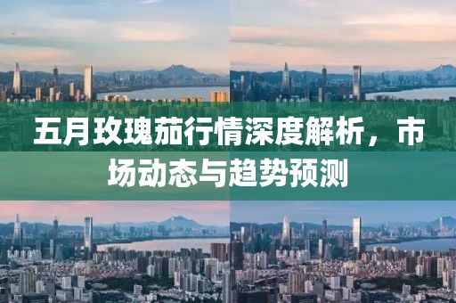 五月玫瑰茄行情深度解析，市场动态与趋势预测