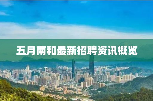 五月南和最新招聘资讯概览