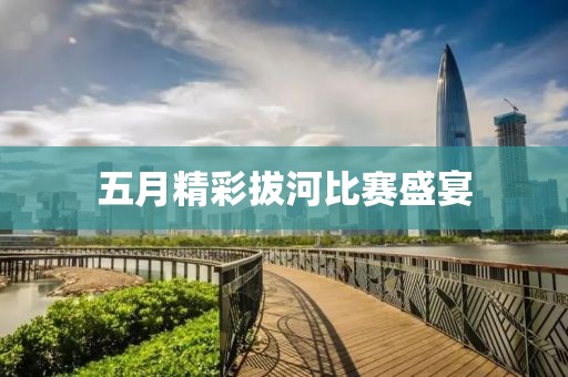 五月精彩拔河比赛盛宴
