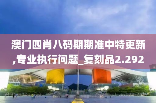 澳门四肖八码期期准中特更新,专业执行问题_复刻品2.292
