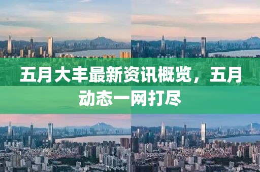 五月大丰最新资讯概览，五月动态一网打尽