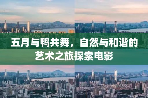 五月与鸭共舞，自然与和谐的艺术之旅探索电影