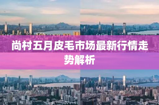 尚村五月皮毛市场最新行情走势解析
