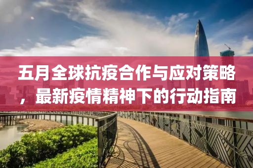 五月全球抗疫合作与应对策略，最新疫情精神下的行动指南