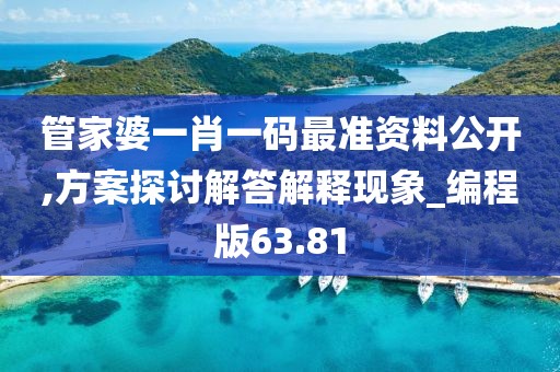 管家婆一肖一码最准资料公开,方案探讨解答解释现象_编程版63.81