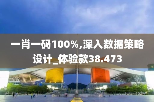 一肖一码100%,深入数据策略设计_体验款38.473