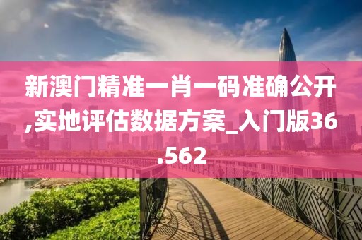新澳门精准一肖一码准确公开,实地评估数据方案_入门版36.562